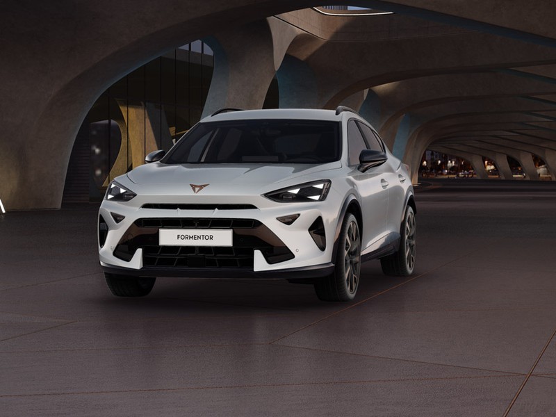 1 - Cupra Formentor 2.0 tdi 4drive 150cv dsg