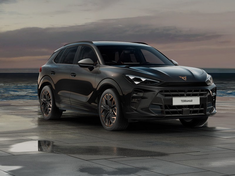 2 - Cupra Terramar 2.0 tsi 4drive impulse 204cv dsg