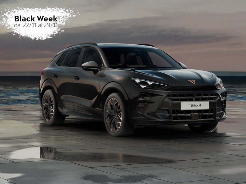 2 - Cupra Terramar 2.0 tsi 4drive impulse 204cv dsg