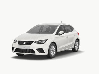 1 - Seat Ibiza eschini auto