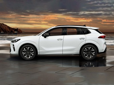 2 - Cupra Terramar eschini auto