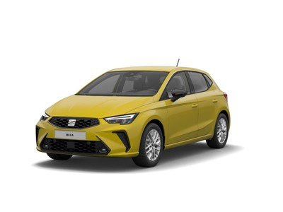 1 - Seat Ibiza eschini auto