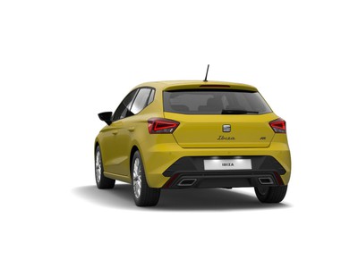 3 - Seat Ibiza eschini auto