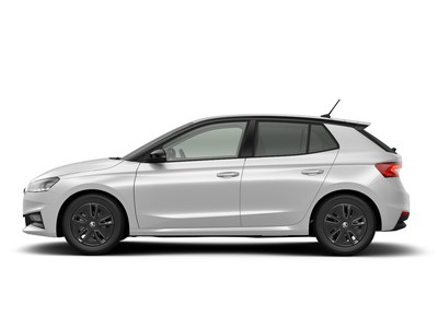3 - Skoda Fabia eschini auto