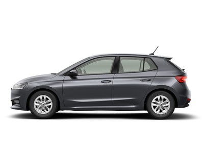3 - Skoda Fabia eschini auto