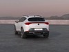 Cupra Formentor 2.0 tdi 4drive 150cv dsg