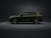 Cupra Terramar 2.0 tsi tribe edition 4drive 204cv dsg