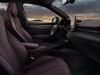 Cupra Terramar 1.5 e-hybrid business 204cv dsg
