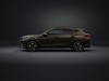 Cupra Formentor 2.5 vz5 4drive dsg