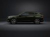 Cupra Formentor 1.5 e-hybrid tribe edition 204cv dsg