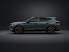 Cupra Formentor 2.0 tsi business 4drive 204cv dsg