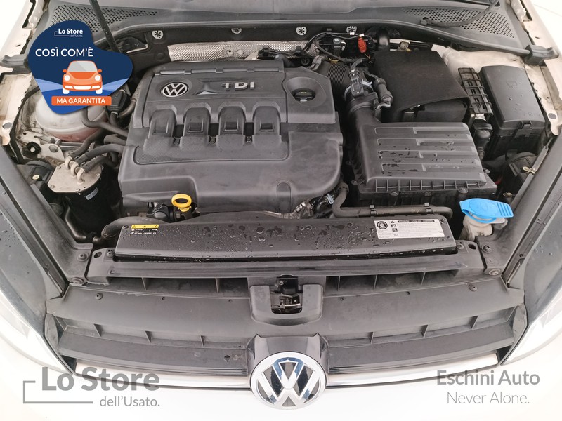 23 - Volkswagen Golf variant 1.6 tdi (btdi) comfortline 110cv