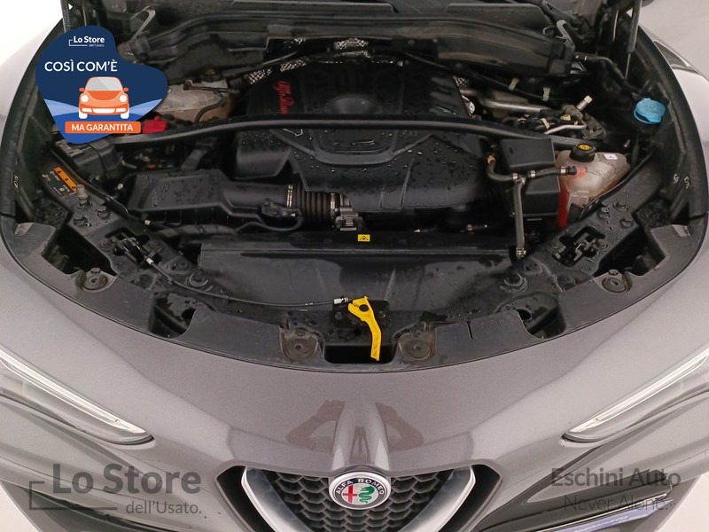 20 - Alfa Romeo Stelvio 2.2 t ti q4 210cv auto