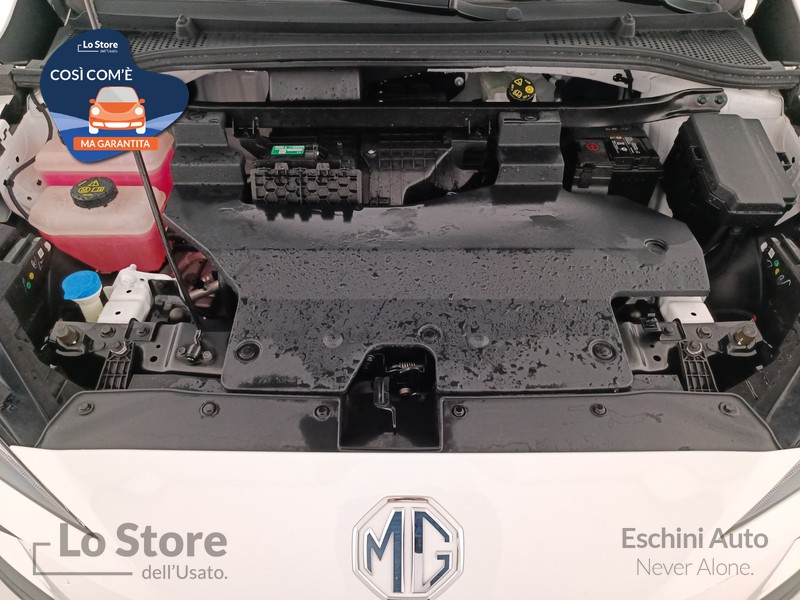 20 - Mg MG4 standard