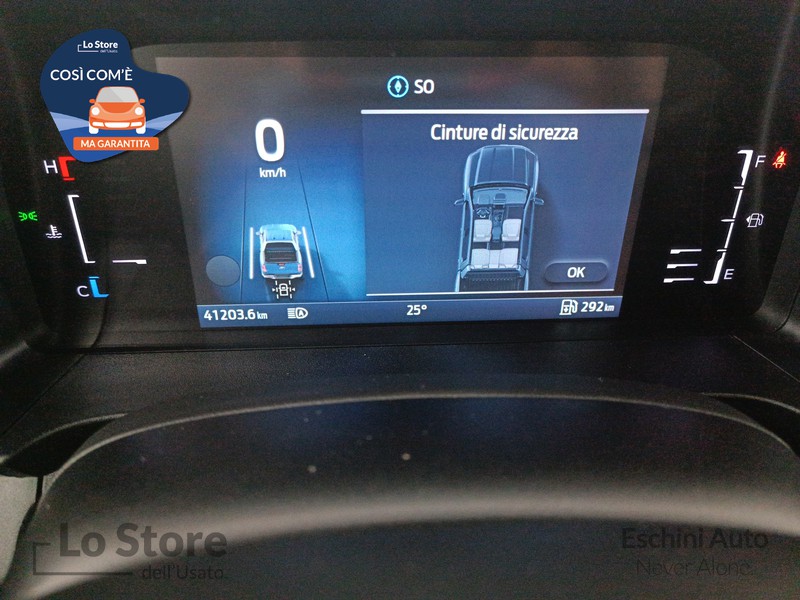 13 - Ford Ranger 2.0 ecoblue doppia cabina wildtrak 4x4 170cv