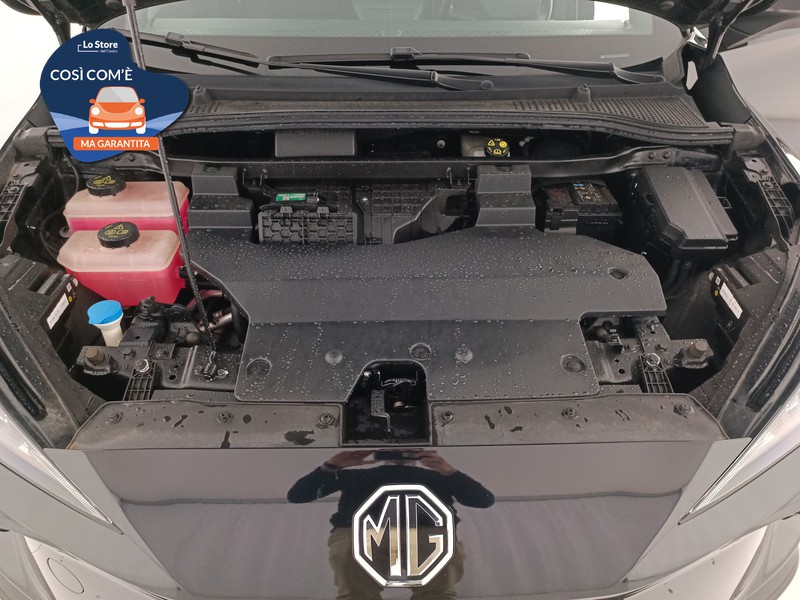 20 - Mg MG4 MG standard