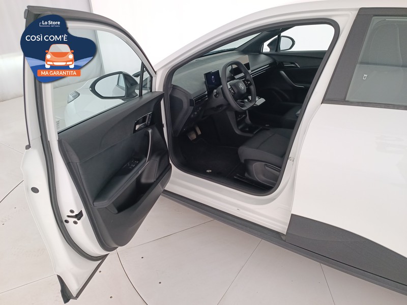 18 - Mg MG4 standard