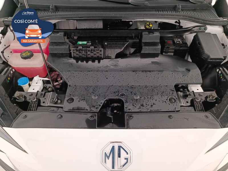 20 - Mg MG4 standard