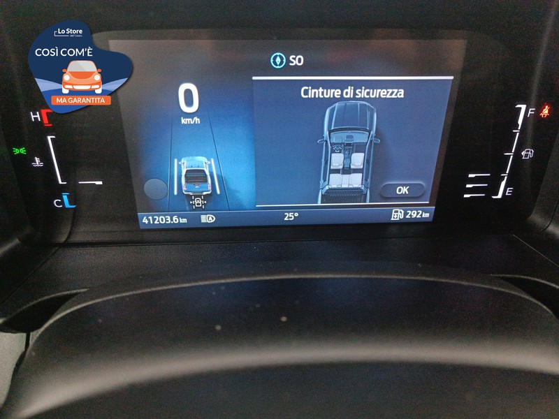 13 - Ford Ranger 2.0 ecoblue doppia cabina wildtrak 4x4 170cv