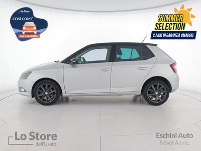 3 - Skoda Fabia eschini auto
