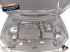 Volkswagen T-Roc 2.0 tdi life 115cv