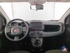 Fiat Panda 1.0 firefly hybrid s&s 70cv