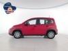 Fiat Panda pandina 1.0 firefly hybrid s&s 70cv 5p.ti